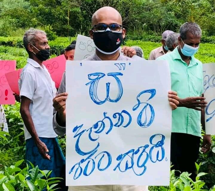 ආණ්ඩුවේ ඇමතිවරු පොහොර මුට්ට කාරේ ගහන් ගොවිජනතාව රැවටීමට අලුත් අවුරුද්දට නෑගම් එන්න හදනවා