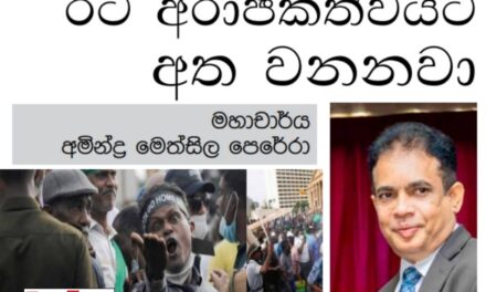 රට අරාජිකත්වයට අත වනනවා – මහාචාර්ය අමින්ද්‍ර මෙත්සිල පෙරේරා