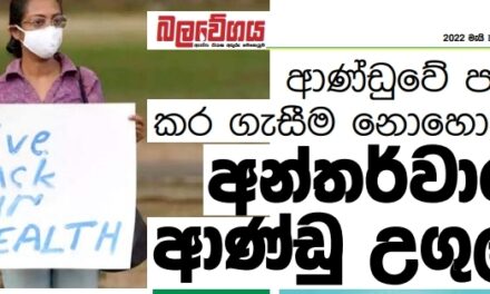 ආණ්ඩුවේ පව් කර ගැසීම නොහොත් අන්තර්වාර ආණ්ඩු උගුල