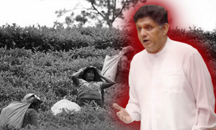 වතු ප්‍රජාව සම්බන්ධයෙන් හරි දත්ත පද්ධතියක් රටේ නැහැ – වතු ප්‍රජාව මුහුණ දෙන ගැටලු දිගහරිමින් විපක්ෂ නායකවරයා පාර්ලිමේන්තුවේදී කියයි.