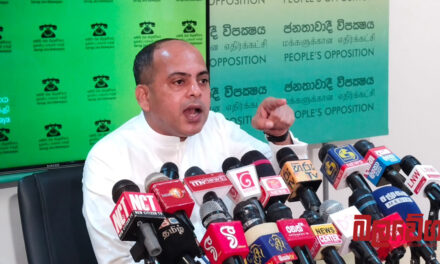 “ජනවාරි මාසයේ ඉදන් අපි පාරට බහිනවා, එලවලාම තමයි පස්ස බලන්නේ” – මරික්කාර් (VIDEO)