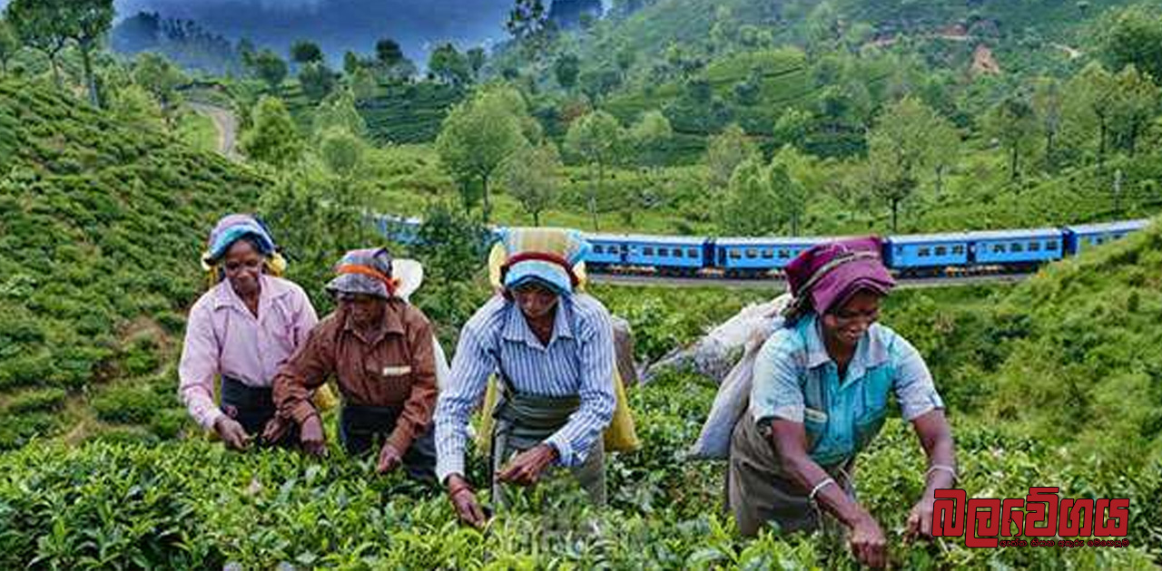 වැවිලි කර්මාන්තයේ නියැලෙන සේවක ප්‍රජාවගේ අයිතිවාසිකම් සුරකින්න, සමගි ජන සන්ධානය ප්‍රඥප්තියක් අත්සන් කරයි