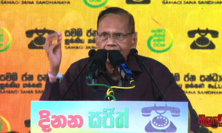 “ආර්ථික අර්බුදය විසඳුවේ රනිල් කියලා ආණ්ඩුව සමාජගත කරමින් සිටිනවා, මීට වඩා ලොකු බොරුවක් තවත් නෑ” – මහාචාර්ය ජී එල් පීරිස්